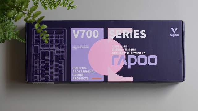 V700 DIY-98键盘不后悔澳门新葡京这么劲、那么美选雷柏(图9)